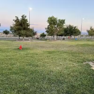 Desert Breeze Dog Park - Las Vegas, NV
