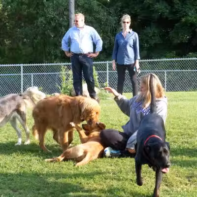 Desert Breeze Dog Park - Las Vegas, NV