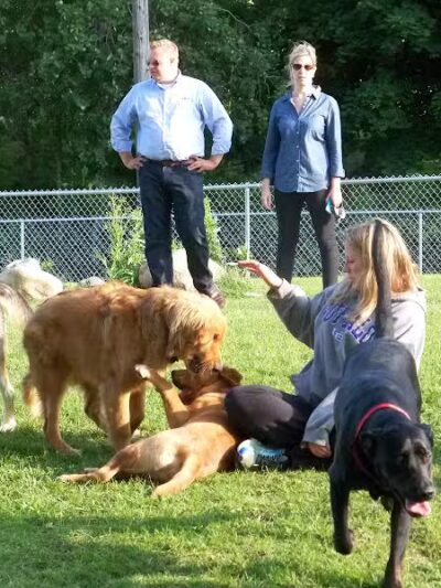 Desert Breeze Dog Park - Las Vegas, NV