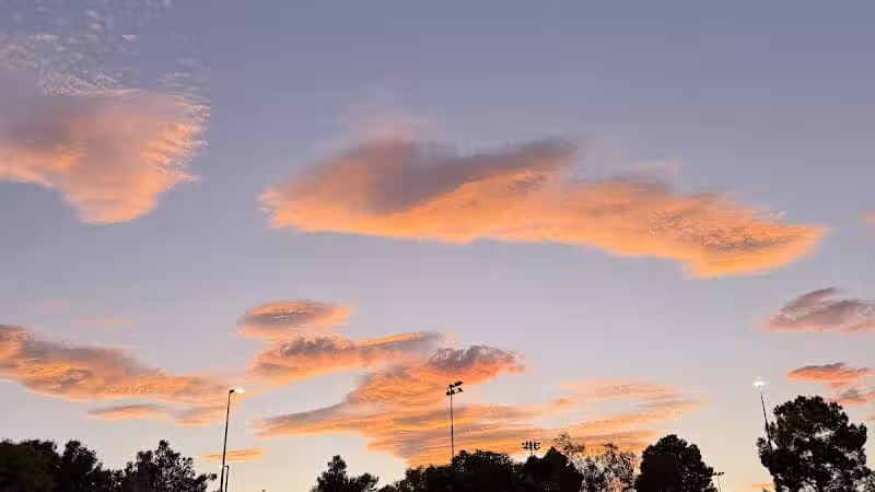 Desert Breeze Park - Las Vegas, NV