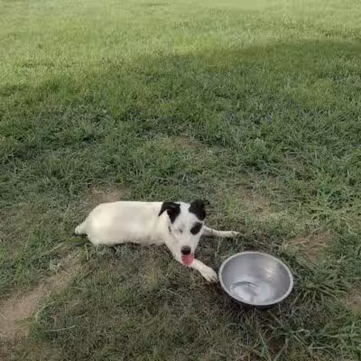 Desert Breeze Park - Las Vegas, NV
