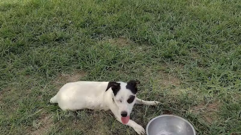 Desert Breeze Park - Las Vegas, NV