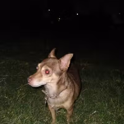 Desert Inn Park - Las Vegas, NV