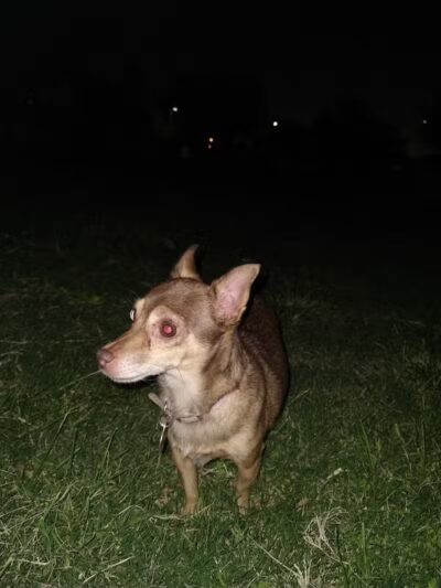 Desert Inn Park - Las Vegas, NV