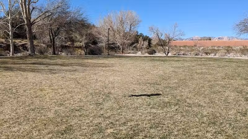 Desert Park - Las Vegas, NV