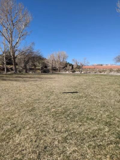 Desert Park - Las Vegas, NV