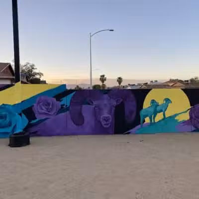 Dog Park - Las Vegas, NV