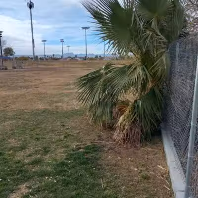 Dog park - Las Vegas, NV