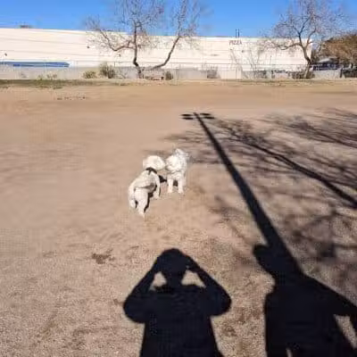 Dog park - Las Vegas, NV
