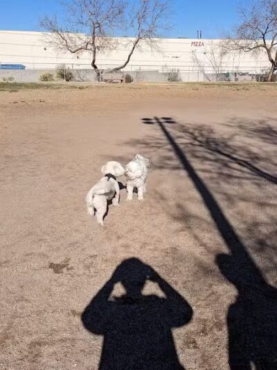 Dog park - Las Vegas, NV