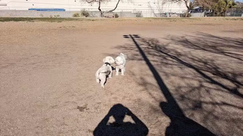 Dog park - Las Vegas, NV