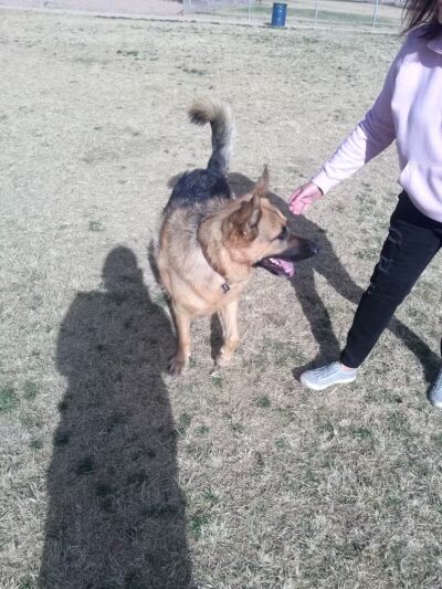 Dog park - Las Vegas, NV