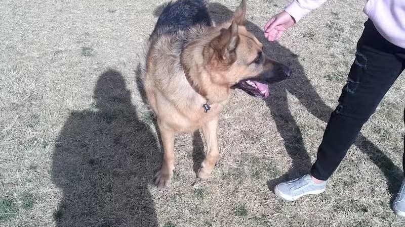 Dog park - Las Vegas, NV