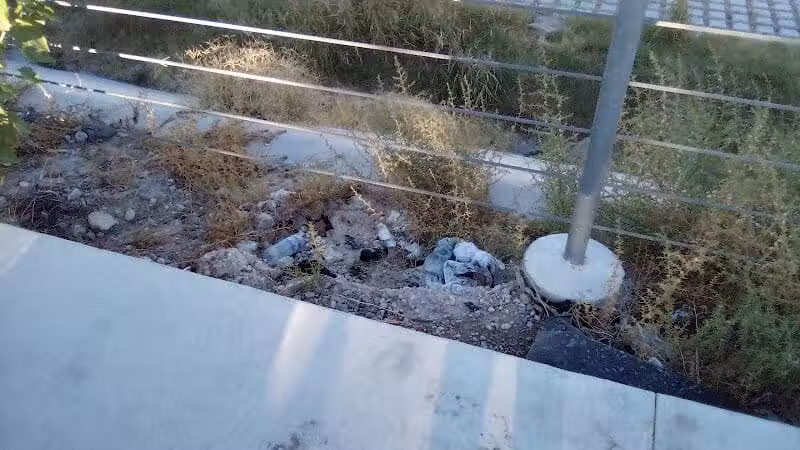 Dog Park - Las Vegas, NV