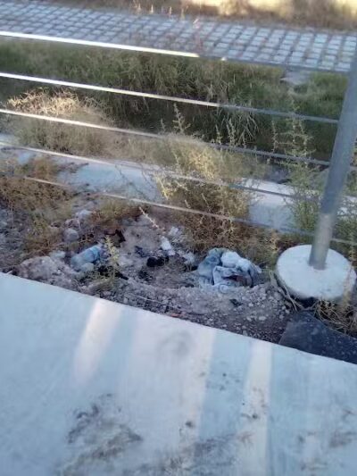 Dog Park - Las Vegas, NV