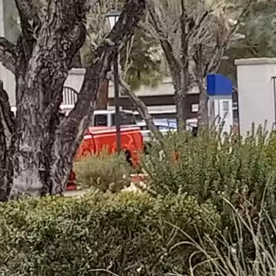 Dog Park - Las Vegas, NV