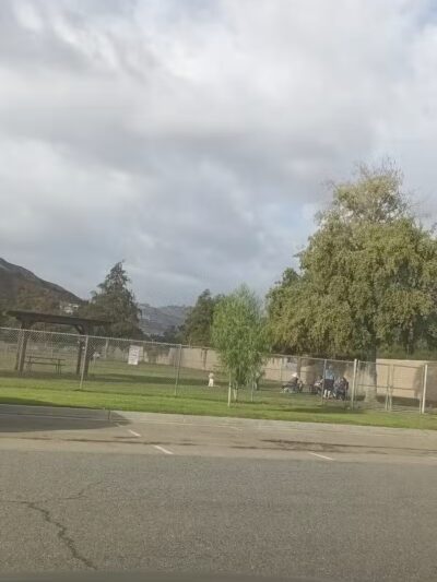 Dog Park - Las Vegas, NV