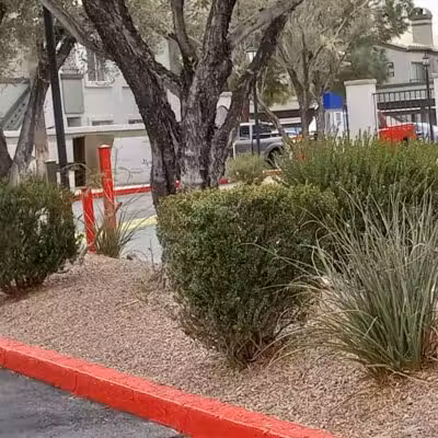 Dog Park - Las Vegas, NV