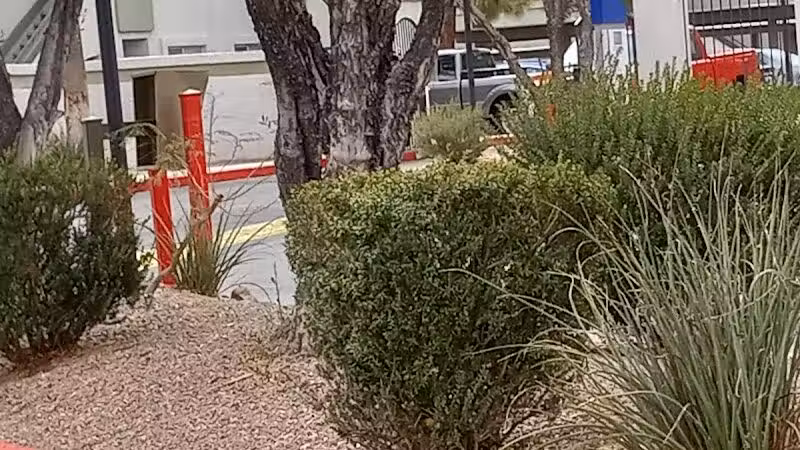 Dog Park - Las Vegas, NV