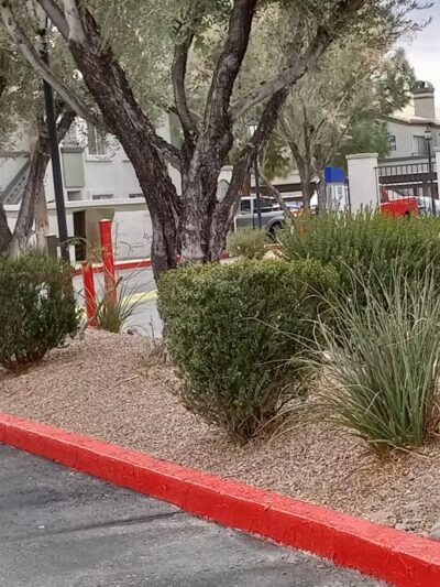 Dog Park - Las Vegas, NV