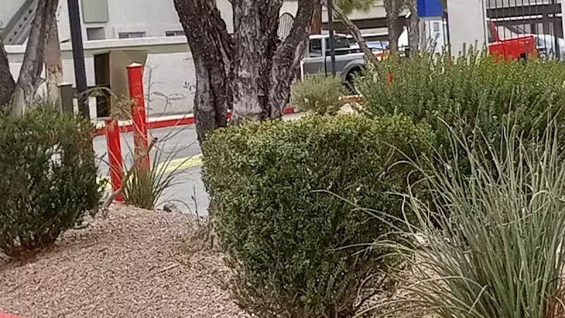 Dog Park - Las Vegas, NV