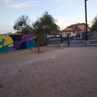 Dog Park - Las Vegas, NV