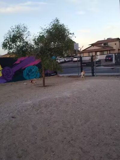 Dog Park - Las Vegas, NV