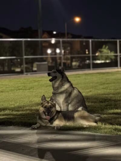 Dog Park - Las Vegas, NV