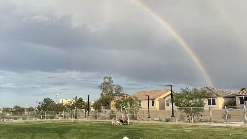 Dog Park - Las Vegas, NV
