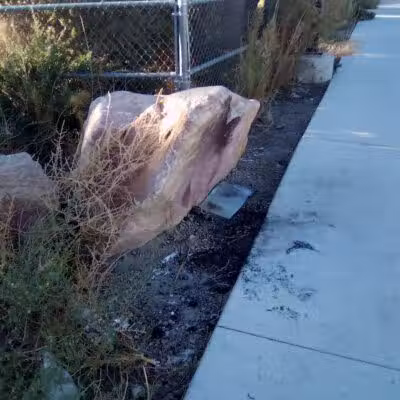 Dog Park - Las Vegas, NV