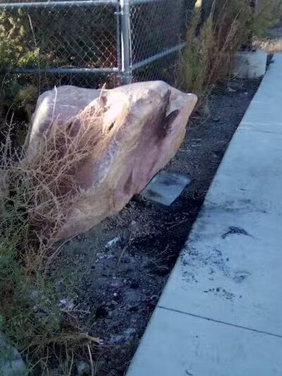 Dog Park - Las Vegas, NV