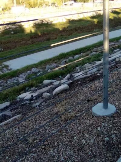 Dog Park - Las Vegas, NV