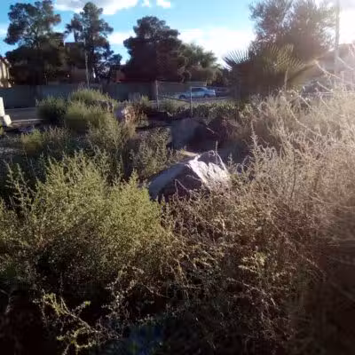 Dog Park - Las Vegas, NV