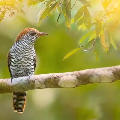 Durango Hills Park - Las Vegas, NV
