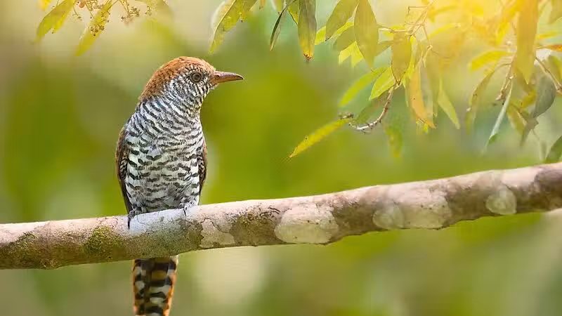 Durango Hills Park - Las Vegas, NV
