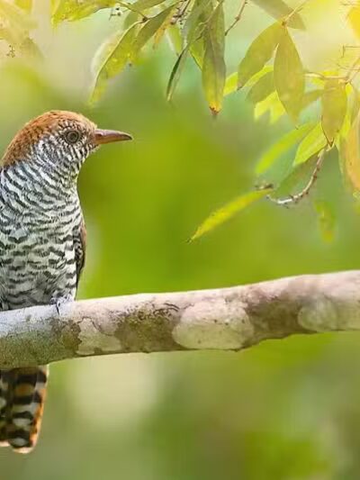 Durango Hills Park - Las Vegas, NV