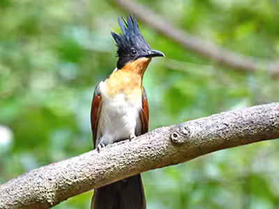 Durango Hills Park - Las Vegas, NV