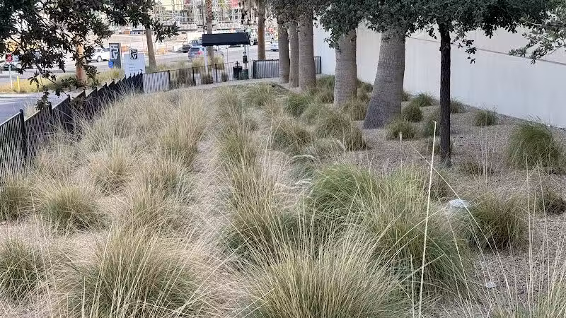 Fashion Show Mall Dog "Park" - Las Vegas, NV