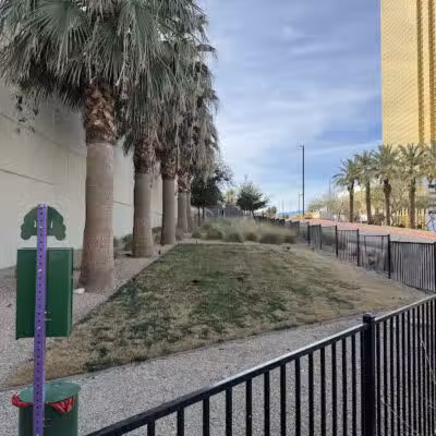 Fashion Show Mall Dog "Park" - Las Vegas, NV