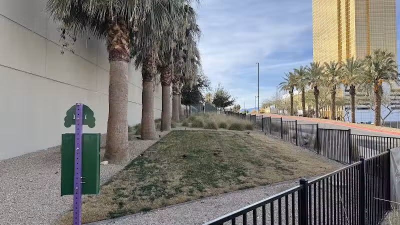 Fashion Show Mall Dog "Park" - Las Vegas, NV