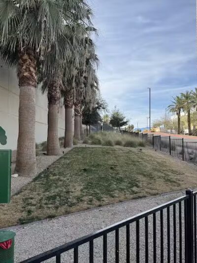 Fashion Show Mall Dog "Park" - Las Vegas, NV