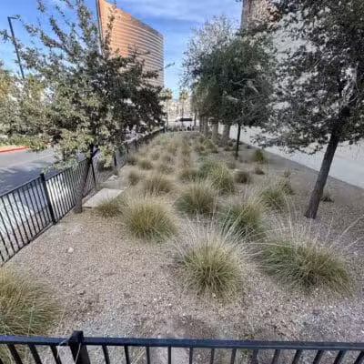 Fashion Show Mall Dog "Park" - Las Vegas, NV