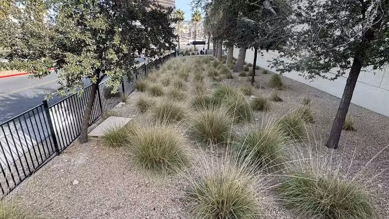 Fashion Show Mall Dog "Park" - Las Vegas, NV