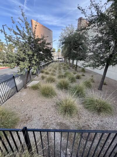 Fashion Show Mall Dog "Park" - Las Vegas, NV