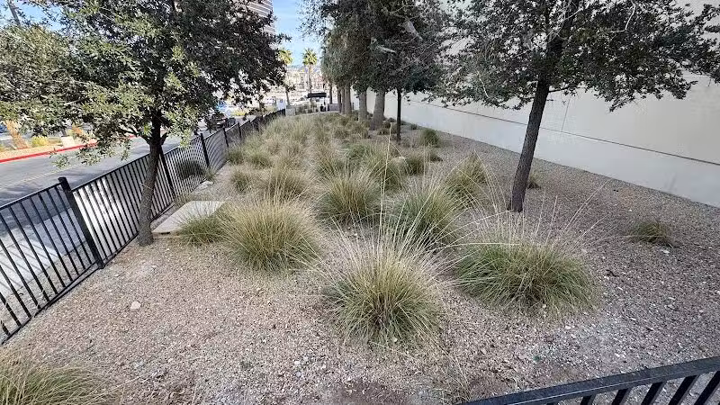 Fashion Show Mall Dog "Park" - Las Vegas, NV