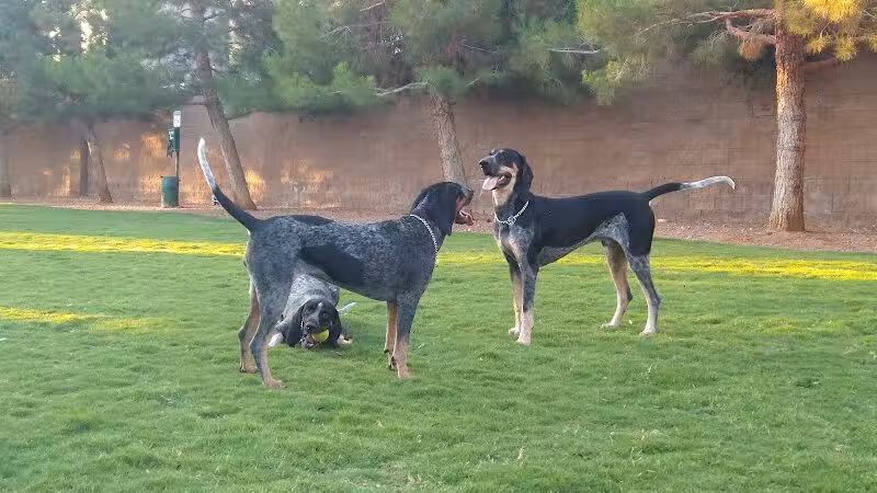 Fire Station Dog Park - Las Vegas, NV