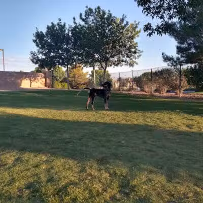 Fire Station Dog Park - Las Vegas, NV