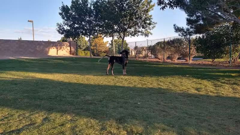 Fire Station Dog Park - Las Vegas, NV