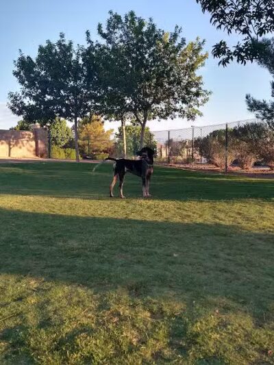 Fire Station Dog Park - Las Vegas, NV