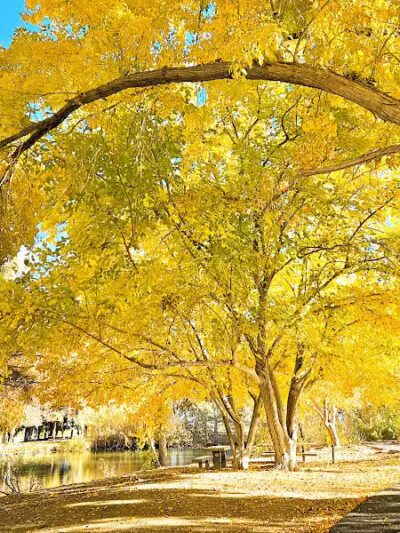 Floyd Lamb Park - Las Vegas, NV